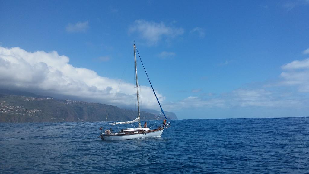 Ocean View Madeira Apartment Madalena do Mar Екстериор снимка